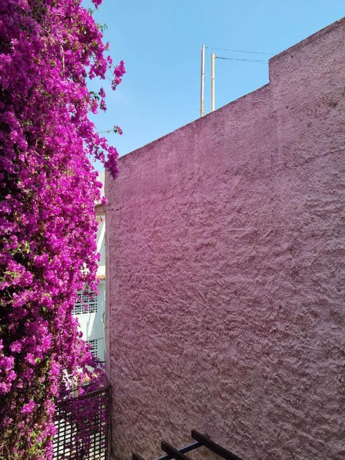 Canto-Home Alongside The Acropolis 아테네 외부 사진